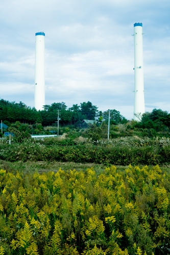 _MG_2790.jpg