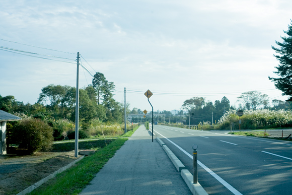 _MG_2817.jpg