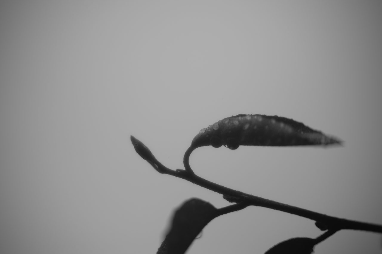 雨の音を聞こう3
